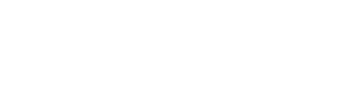 Satinum Logo